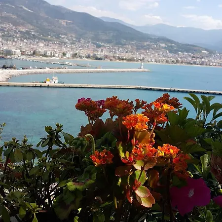 Otel Parador Beach Hotel All Inclusive Alanya