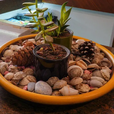 Parador Beach Hotel All Inclusive